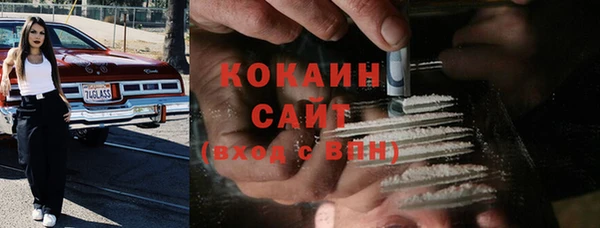 тгк Алзамай