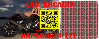 MDMA Гай