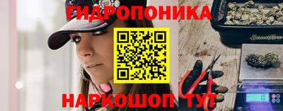 дурь Гатчина