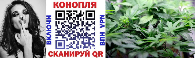 MEGA Нарткала Каннабис ГИДРОПОН